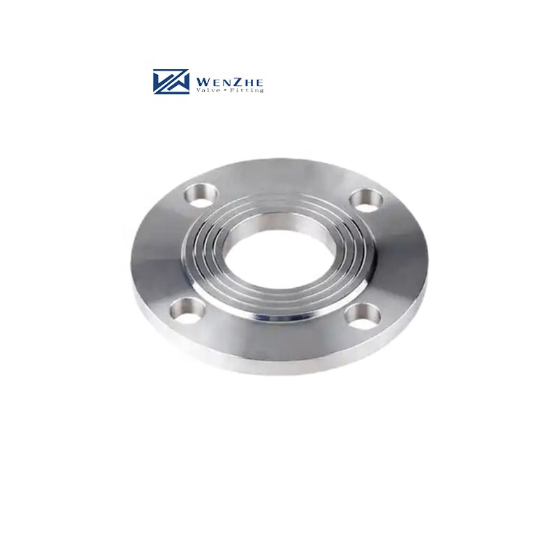 Clamped Connection Stainless Steel 304 Blind/Slip On/Flat Plate/Socket RF