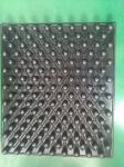 blister trays for seeding PS