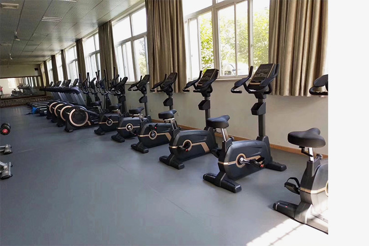 Indoor Stationary Exercise Bicycle , Upright Motorized Magnetic Exercise Bike