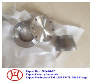 China 317L UNS S31703 1.4438 WN SO SW blind plate lap joint flange forging disc ring bleed ring wholesale