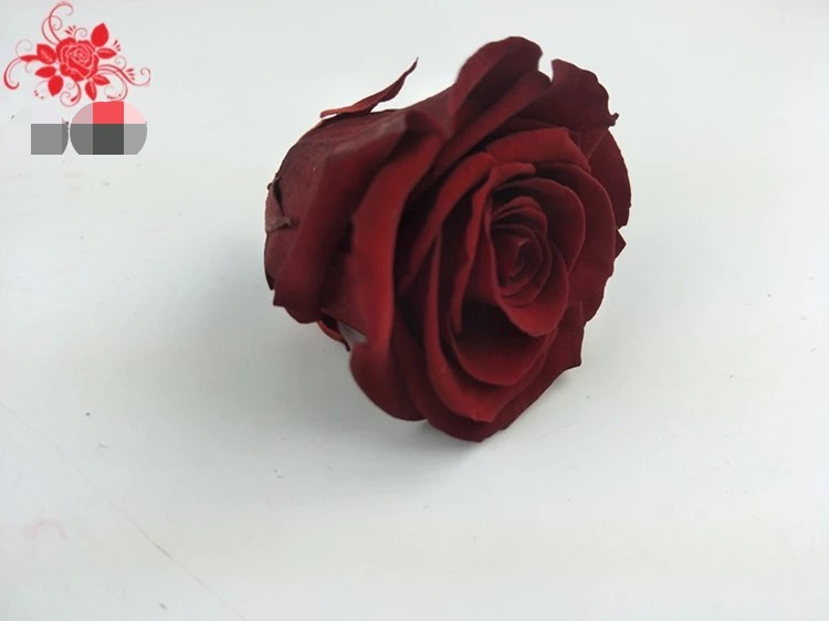 Wholesale Preserved Fresh Dried Flowers Dark Blue Roses for Arrangement