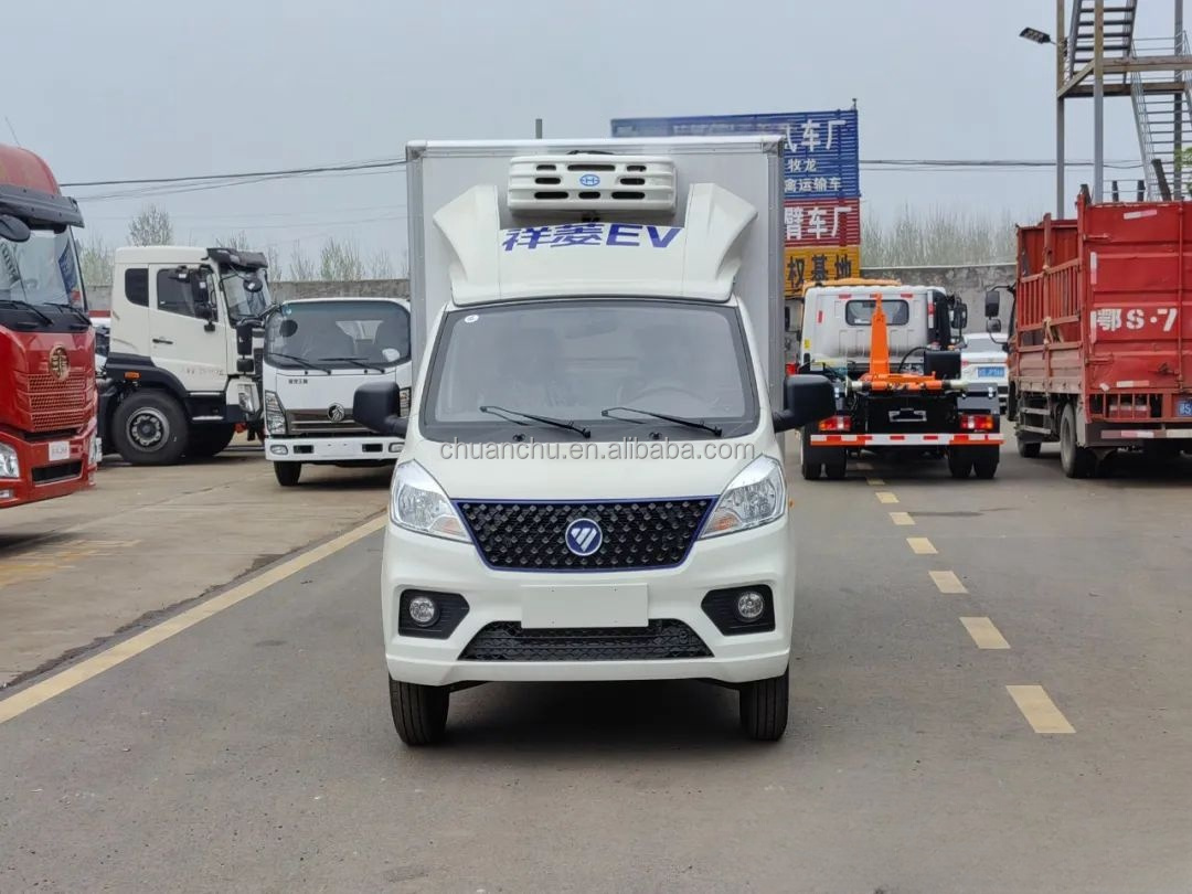 Customized Frozen Meat Delivery Trucks 4.2m Pure Electric Refrigerated Truck