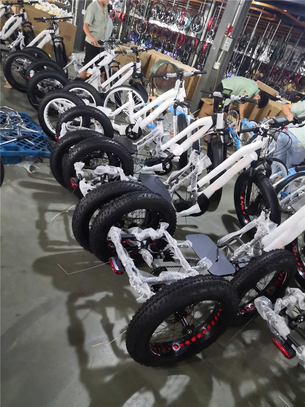Bafang 750W Motor Electric Tricycle with Fat Tire E Three Wheels and Passenger Seat