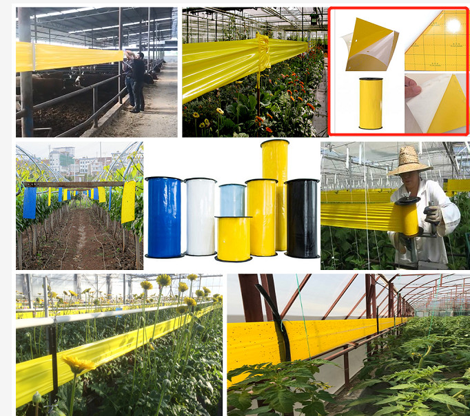 Fruit Fly and Gnat Trap Yellow Sticky Bug Traps for Flies,Mosquitos,Fungus Gnats,Flying Insects Hot Melt Glue Traps Machine