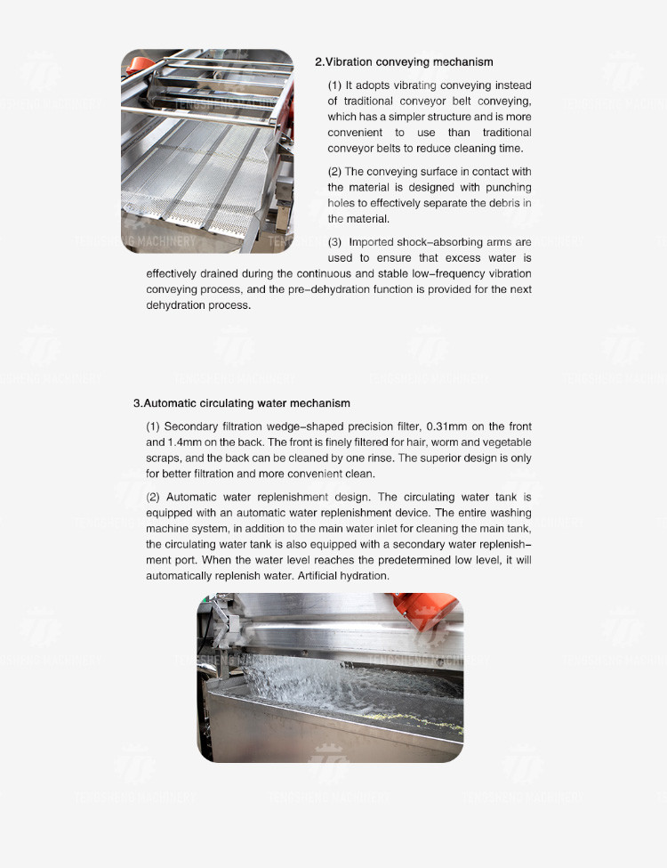 1000KG/H Supply of eddy current washing machine commercial fruit and vegetable washing machine drain spray vortex out