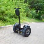 72V 8.8Ah Stand Up Electric Scooter Li-ion Double Battery Balance Scooter