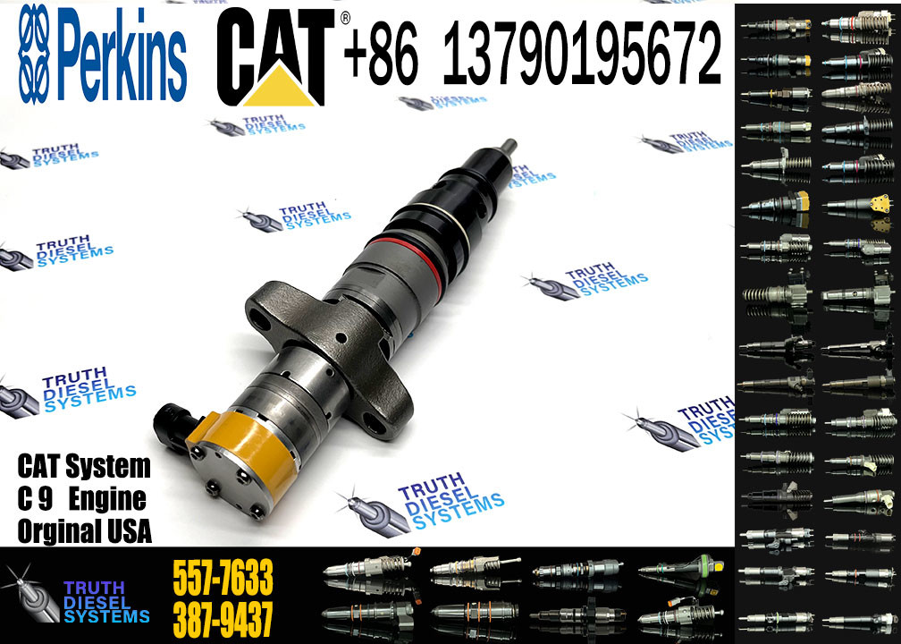 Diesel Engine C7 C9 Injector 293-4074 10R-9003 10R-7223 10R-4764 10R-2828 10R-4844 328-2573 553-2592 557-7633