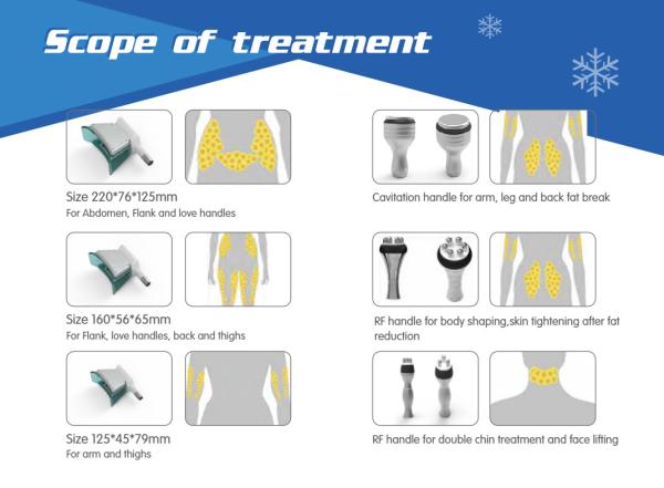 Cryolipolysis Slimming Equipment(NBW-C325)