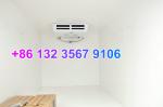 RHD Dongfeng Diesel 4x2 Mini Light Refrigerator Truck EQ5032XXY