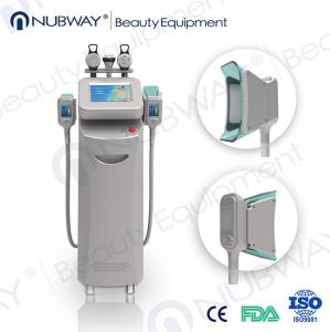 China Cryolipolysis Beauty Salon/Cryolipolysis Treatment Beauty Machine wholesale