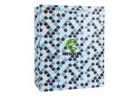 Hot Stamp Paper Handle Shopping Bags Disposable Multi Colors For Garment