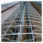 Single Side Ergonomic bending Cow Farming Equipment Cattle Free Stalls