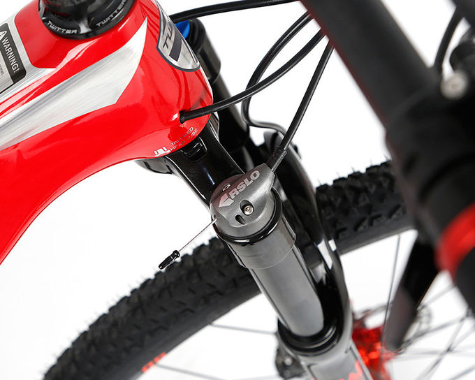 Twitter Bike STORM 2.0 Carbon Fiber Mountain Bike 29er For Cycling
