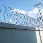Customized Concertina Razor Wire , PVC Coated Razor Wire High Tensile