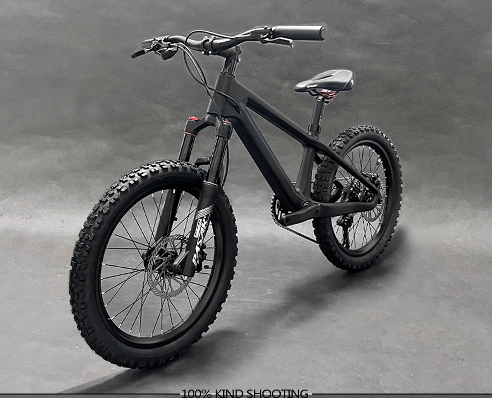 20er Kids Mountain Bike Disc Brake Shimano 10 Speed Bicycle For Children