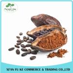 Premium Quality Low Fat Healthy Food Ingredient Cocoa Powder