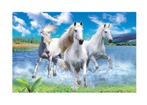 China Runnig Horse 3D Lenticular Pictures For House Decorative 0.6mmPET wholesale