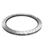 ODM Slewing Ring Bearing For Hitachi Hyundai