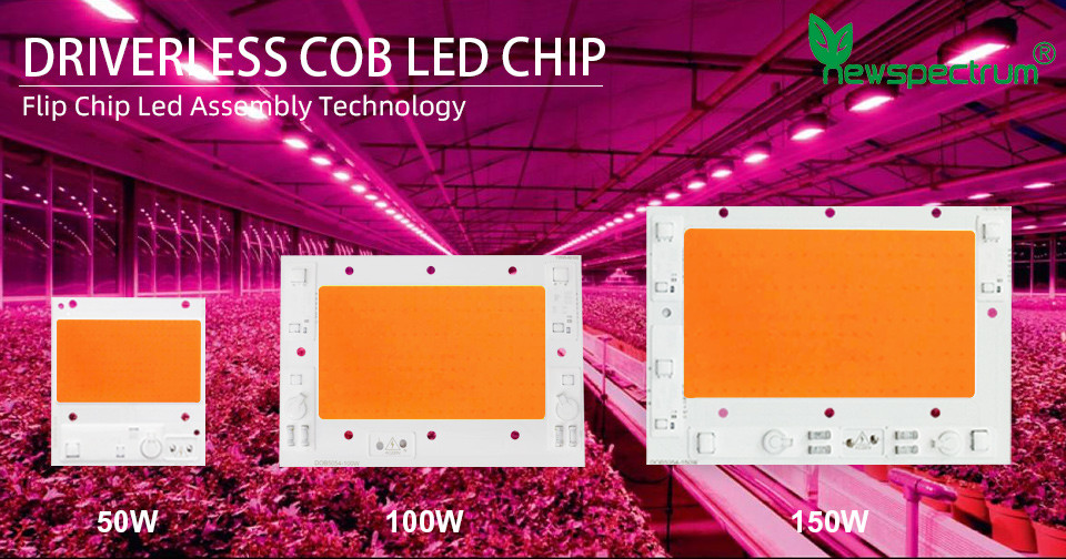 150W RGB LED Module