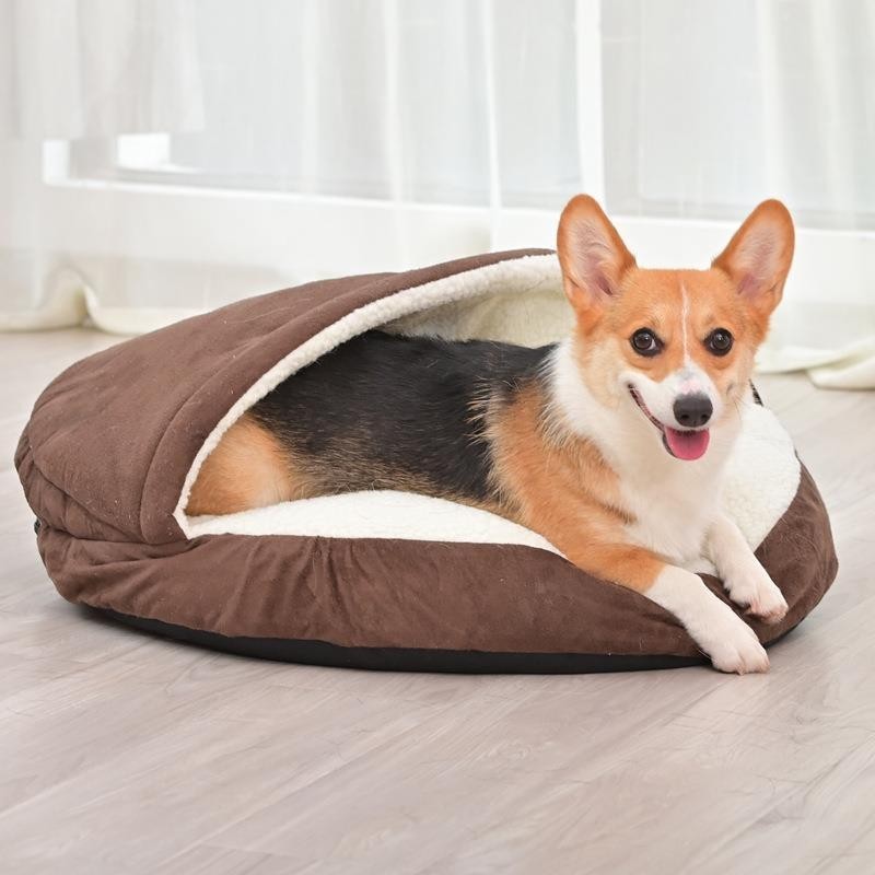 travel dog mat