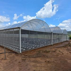China Hydroponic Complete Thailand Multi Span Greenhouse Side Ventilation Industrial wholesale