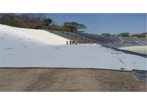 China 800g Non Woven Geotextile Polypropylene Fabric For Reinforcement wholesale