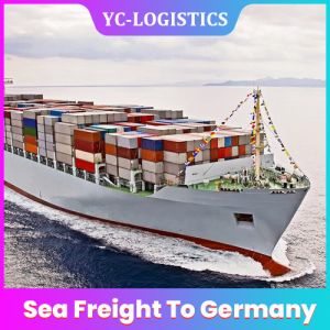 China DDP Sea Freight Shipping Company wholesale