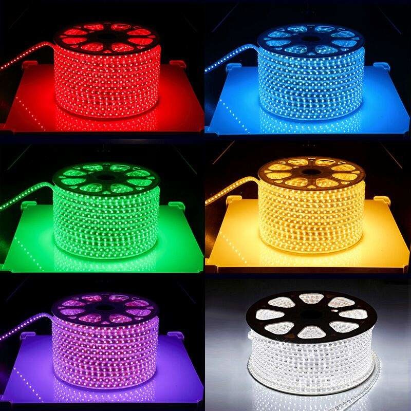 220V 110V 100 Meter 2835 LED Strip Waterproof Led Strip Lights Ip68