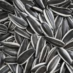 Buy high-quality sunflower seed raw materials from China at the lowest wholesale