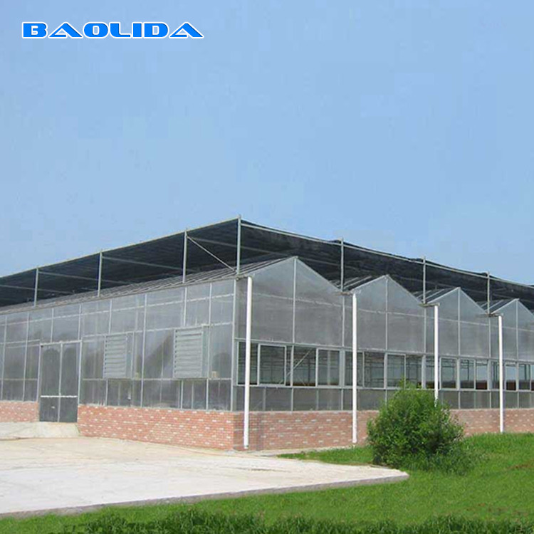 Automatic System Multi-Span Greenhouse PC Polycarbonate Film Greenhouse Steel Structure