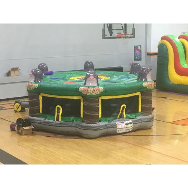 Green Funny Indoor Inflatable Whack - a - mole Game For Children BV CCC UL