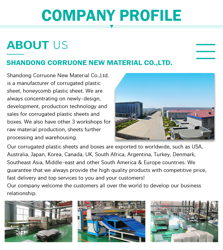 Corflute Plantra Tree Protectors PP Corrugated Tree Guard Tubes