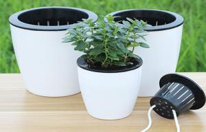 China PP Thickened Not Brittle Round Flower Pots Wear Resistance wholesale