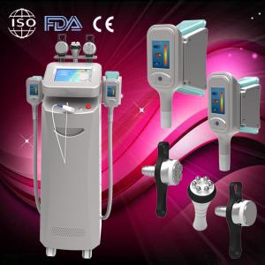 China Hottest cryolipolysis for beauty salon use / cryolipolysis products wholesale