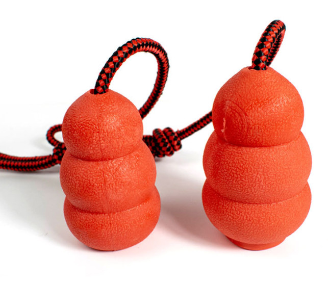 interactive outdoor dog toys