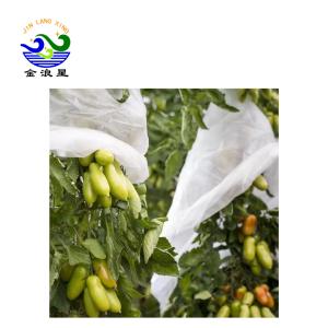 China Greenhouse Nonwoven 40gsm Fabric Fruit Protection Bag wholesale