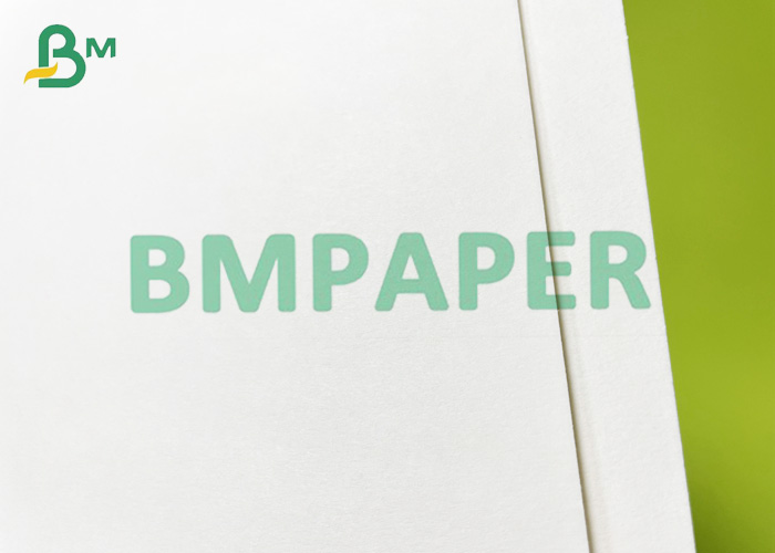 400 x 550mm Food Grade Absorbent Paper For Blotting Applications