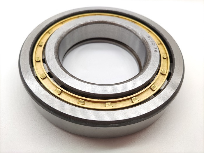 Single Row Full Complement Cylindrical Roller Bearing NJ 203-NJ 216