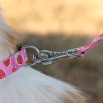 OEM training dog leash Silk Screen Pattern dog training lead