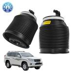 High-Durability and Hot Sale 48090-60010 4809060010 Rear Left Air Spring for