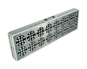 China 600W Full bloom Hydroponics 660nm RED LED grow lights wholesale