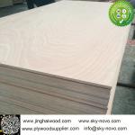 Sapele/sapelli plywood