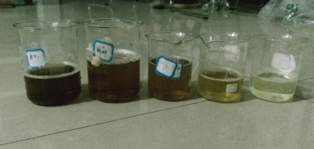 SUS304 Material DAF Sedimentation Dissolved Air Flotation for Environmental Protection