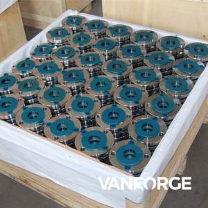 China PN10 Forged Forged Stainless Steel Flanges , Flat Face Weld Neck Flange wholesale