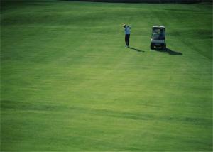 China High Abrasion Resistance Golf Artificial Grass Carpet Home Outdoor Golf Putting Greens wholesale