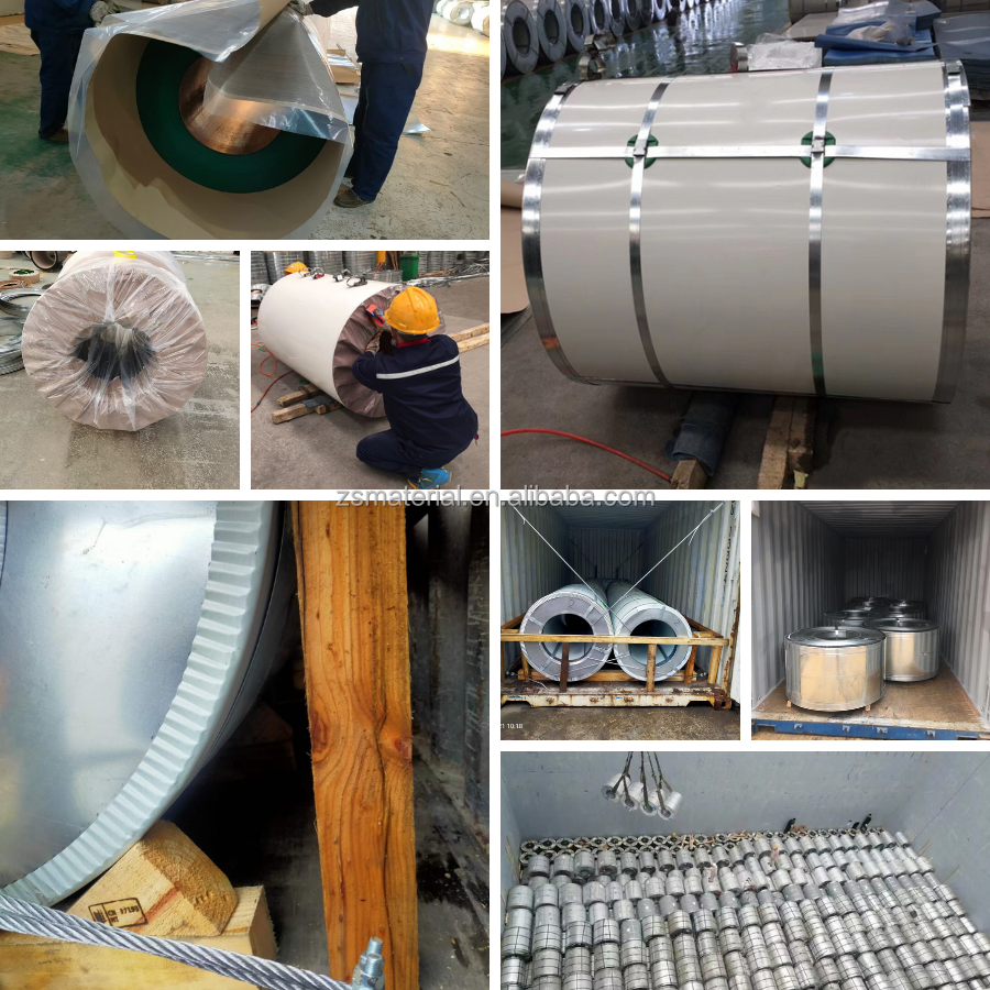 Galvanized Steel Coil Sheet Roll Industry Zinc Coated Stainless Steel Metal Sheets Aluminium for DX51D Z/SGCC/DC01 Z/DC51D Z