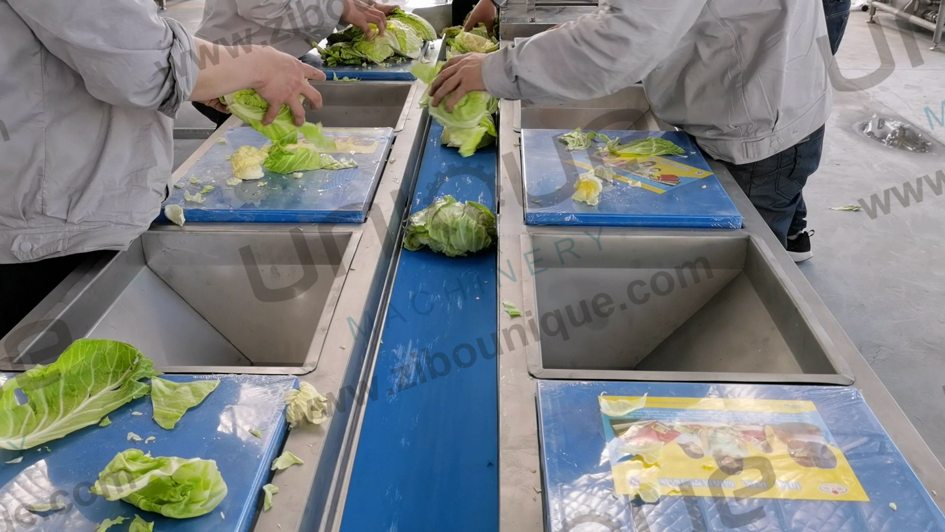 Salad Processing Made Easy Vegetable Washing Machine for Baby Spinach Lettuce Cabbage