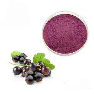 China Concentrated Juice Black Currant 10% Anthocyanin Extract Powder wholesale