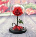 rose gift Factory Wholesale Eternal Beautiful Forever Little Prince Roses