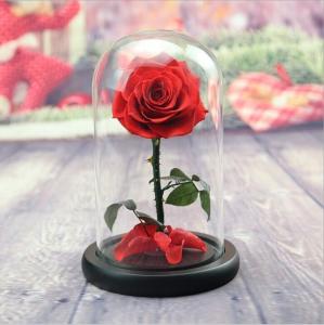 China beauty and the beast roses preserved roses in glass dome rose for lover's gift wholesale